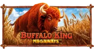 ภาพเกม Buffalo King Megaways ที่ pgall888 รวบรวมไว้